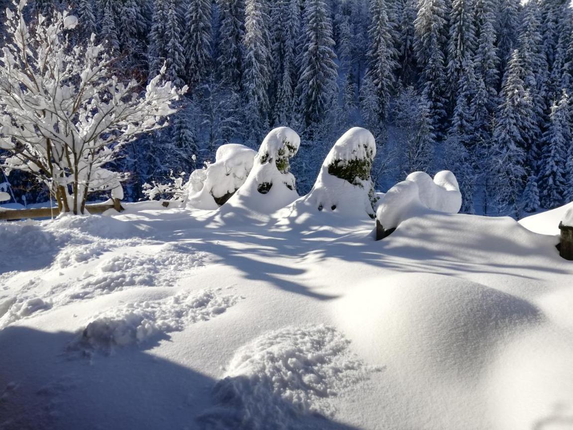 Holzfaellerhaus Melkstatt Holiday home Auffach