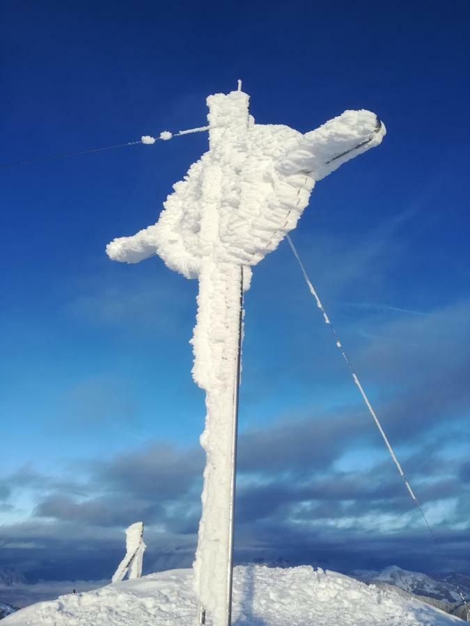 Holzfaellerhaus Melkstatt * Auffach